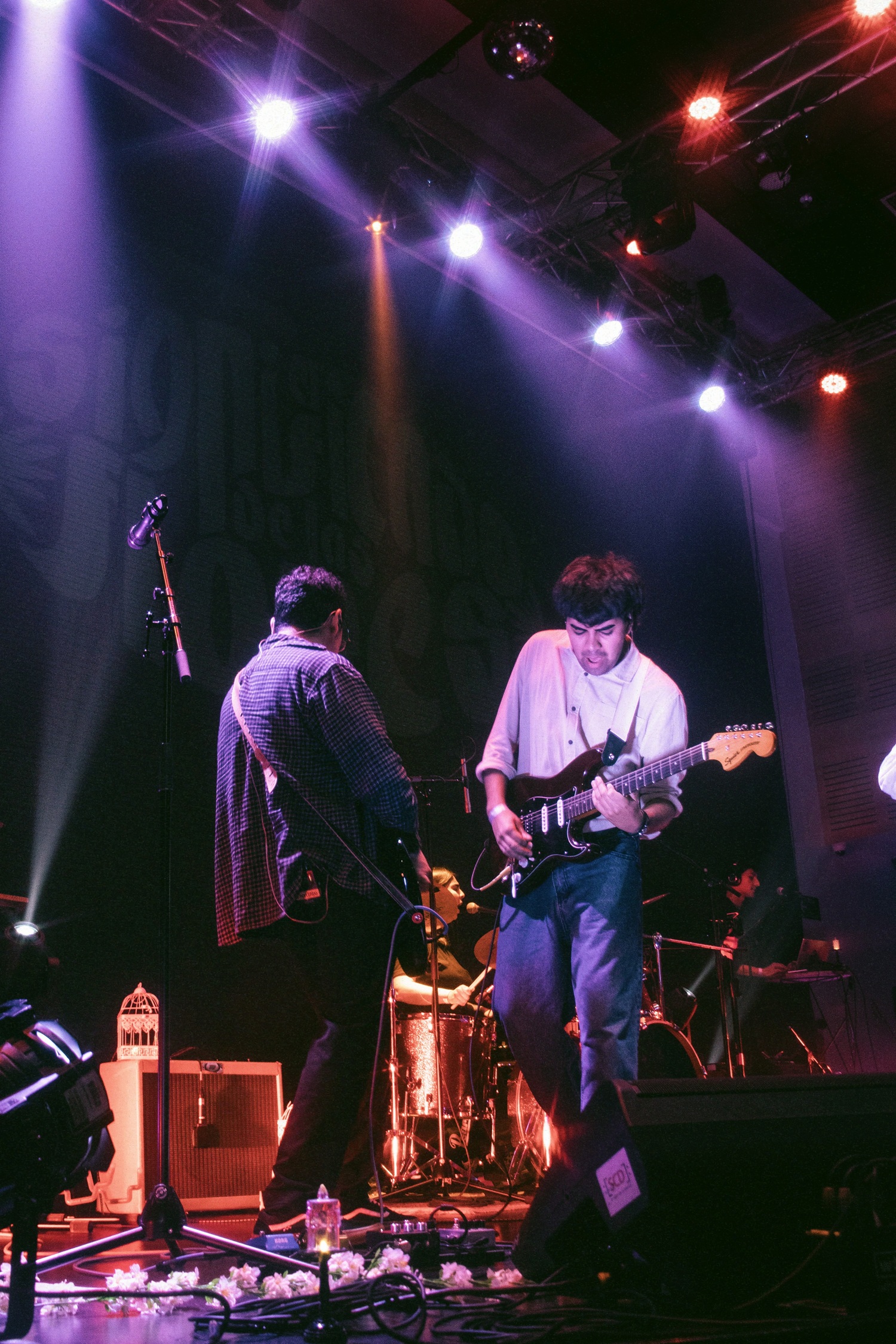 El Significado de las Flores - Ciclo Nuevo Rock